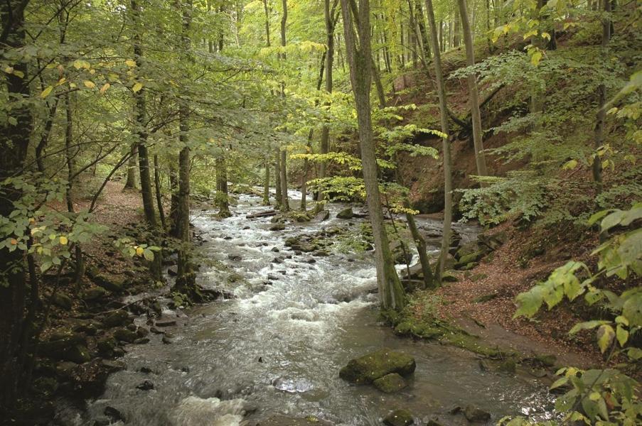 Fewo Hof Elbbachtal Westerburg  Buitenkant foto