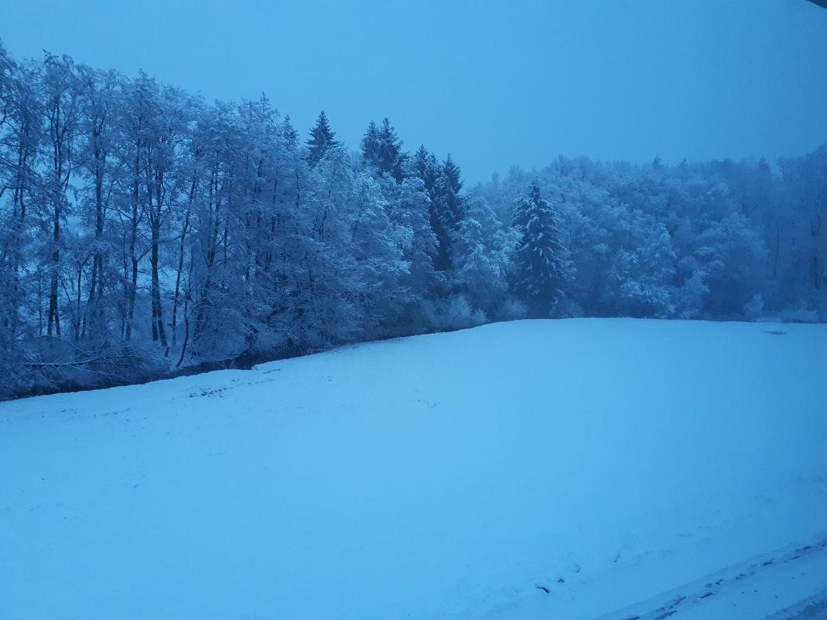 Fewo Hof Elbbachtal Westerburg  Buitenkant foto