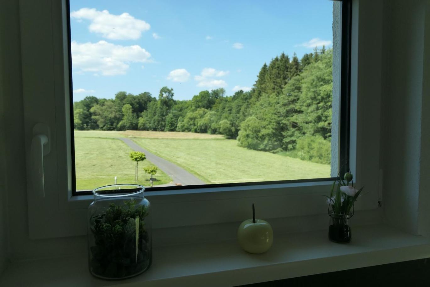 Fewo Hof Elbbachtal Westerburg  Kamer foto